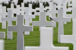 Normandy Prepares To Honor 80th D-Day Anniversary