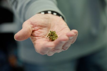 Marihuana
