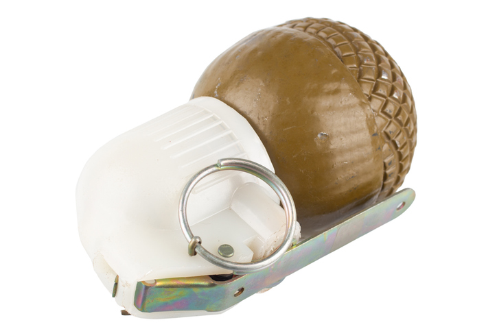 92nd Annual Academy Awards, Roaming Arrivals, Los Angeles, USA - 09 Feb 2020