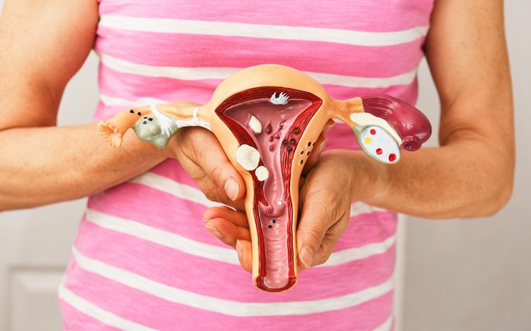 Helping the transgendered get pregnant with transplanted uterus