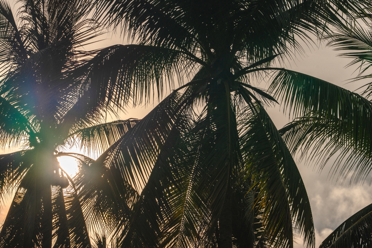 Climate Alarmists Warn About Heat in the Summertime