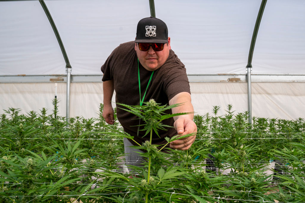 North Carolina's First Medical Marijuana Dispensary
