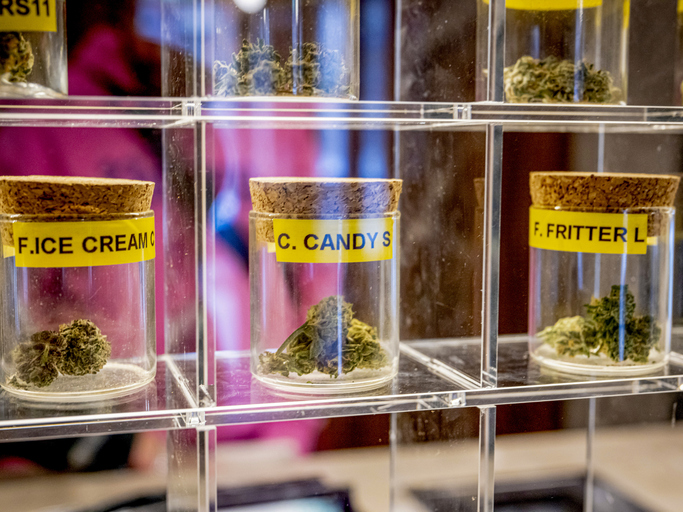 Assorted cannabis strains displayed in a glass case at a dispensary