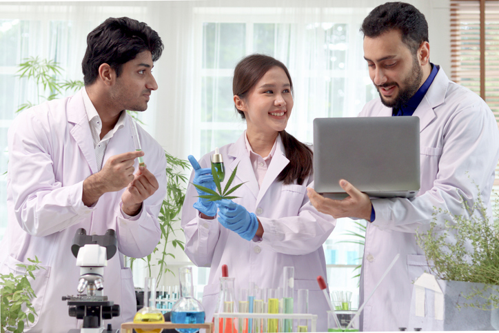 Scientist team woman and man in lab coat doing experiment with marijuana hemp leaf in laboratory, pharmacist group extract cannabis oil in lab, medical researcher work for alternative herb medicine.