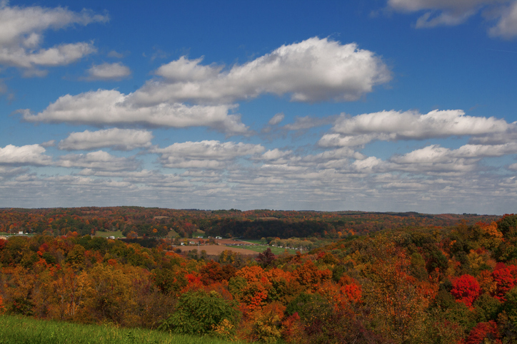 Autumn Colors in Central Ohio