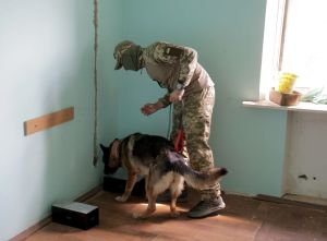Detection Dog Training In Kyiv