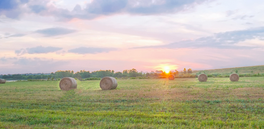 Rolled Hay bales at sunrise-Howard County, Indiana