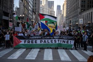 Protesters Demonstrate During The 2024 Democratic National Convention In Chicago