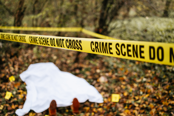 Buffalo Bills - Kim and Terry Pegula - $6.8 billion net worth