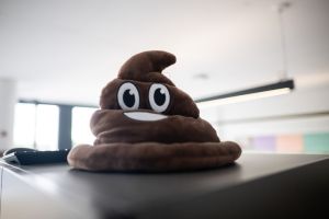 Pile of poo emoji