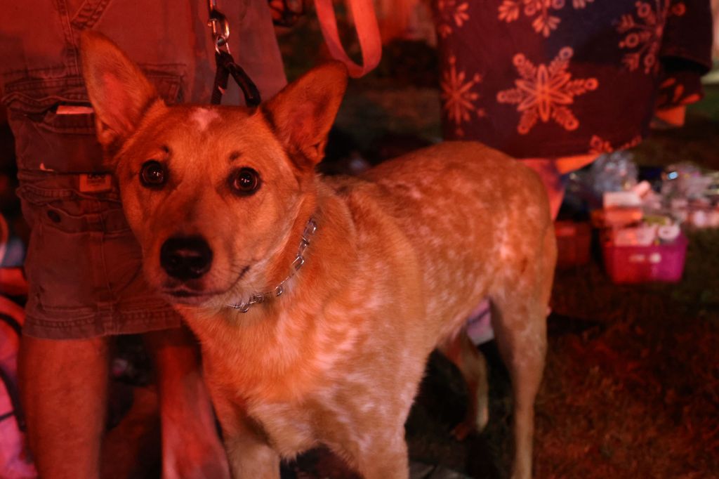 Matt McCool - Forward - Marist