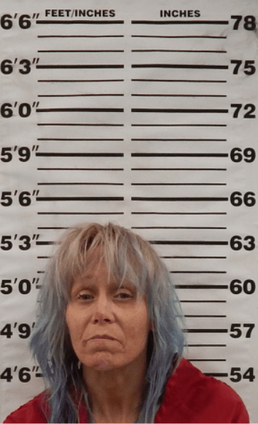Image of Person Arrested During "Operation Iceberg" in Jefferson County