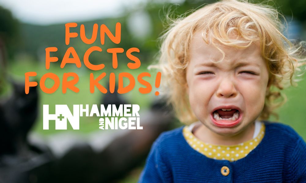 FUN FACTS FOR KIDS HN GRAPHIC