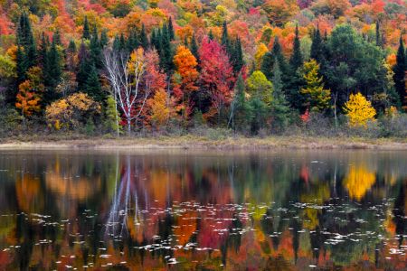 Island Pond, Vermont