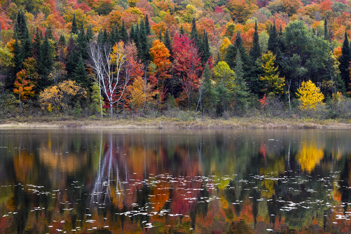 Island Pond, Vermont