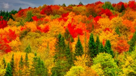 North Conway, New Hampshire