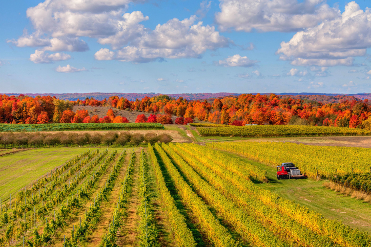 Traverse City Michigan In The Autumn