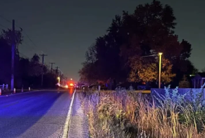 Person Hit by Car, Critical