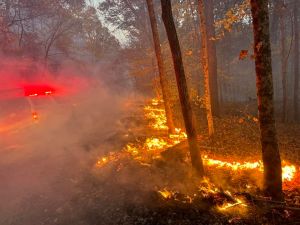 Monroe County brush fires
