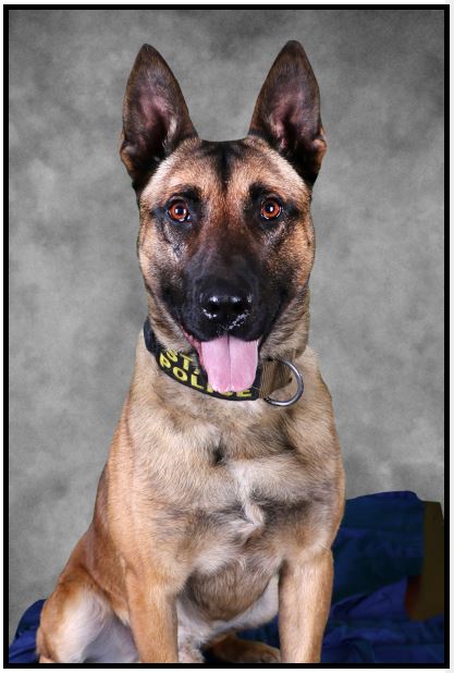 Image of ISP K-9 Officer Zero