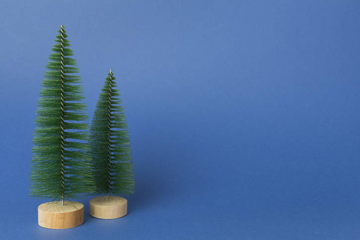 Small christmas trees on color background