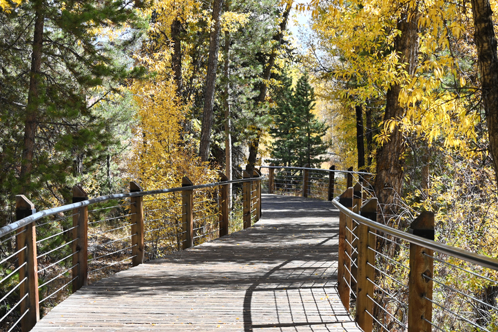 Pedestrian Bridge to the Forest