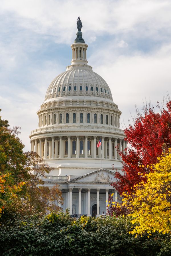 The U.S. Capitol in Washington, D.C., surrounded by vibrant autumn foliage