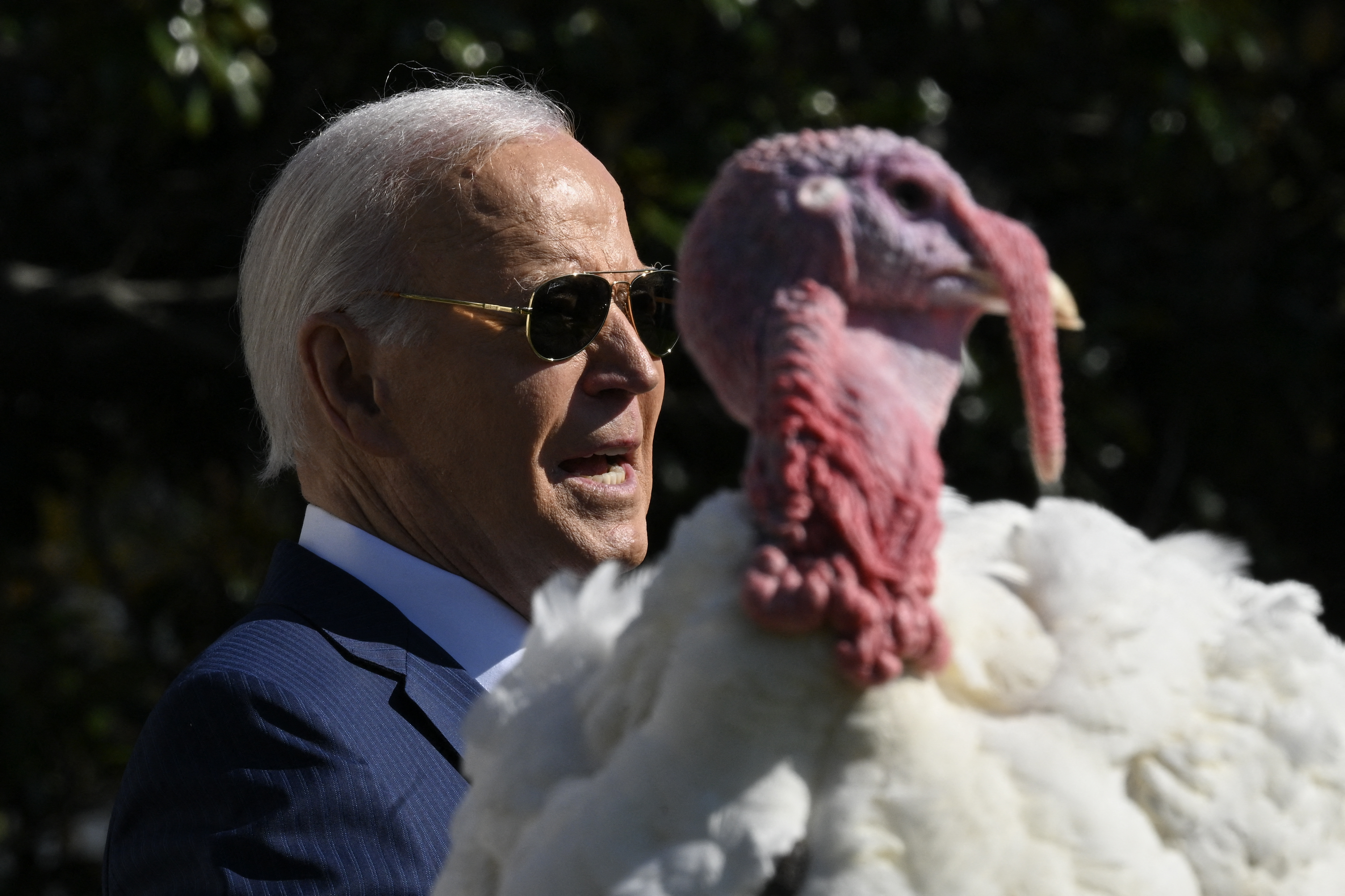 Biden releases 11 from Gitmo
