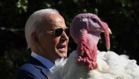 US-POLITICS-BIDEN-CULTURE-THANKSGIVING-TURKEY