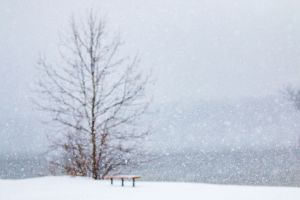 Snowfall at Eagle Creek Park with wooden bench and big leafless tree in the blur background, Indiana