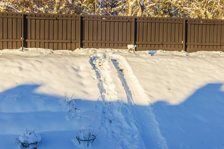 Tracks from sledding on snow slope near wooden fence illuminated by sunlight on winter day. Sweden.