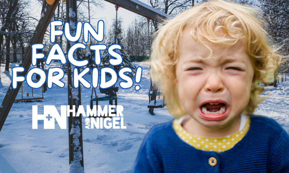 Fun Facts for Kids WInter
