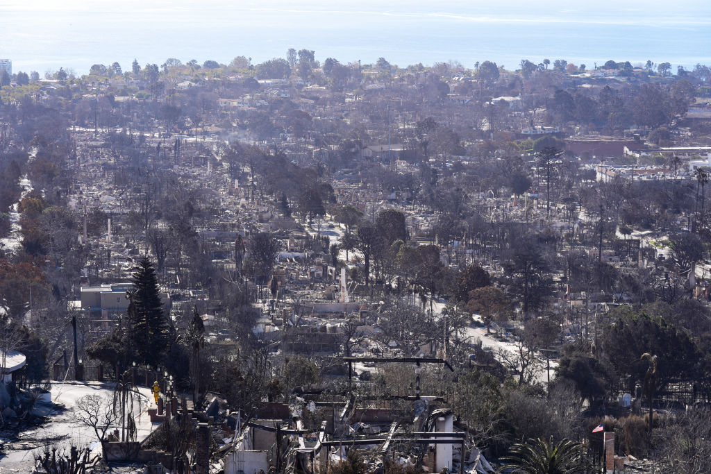 Destruction in Los Angeles: Palisades Wildfire Reduces Area to Ashes