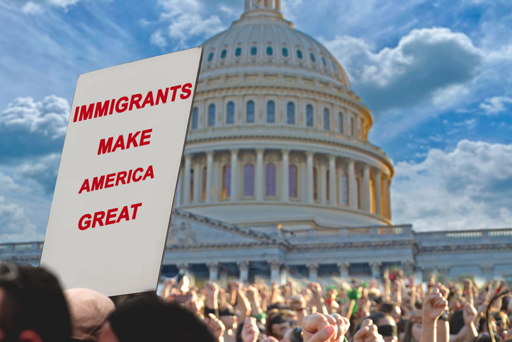 Begin a Mass Deportation Program