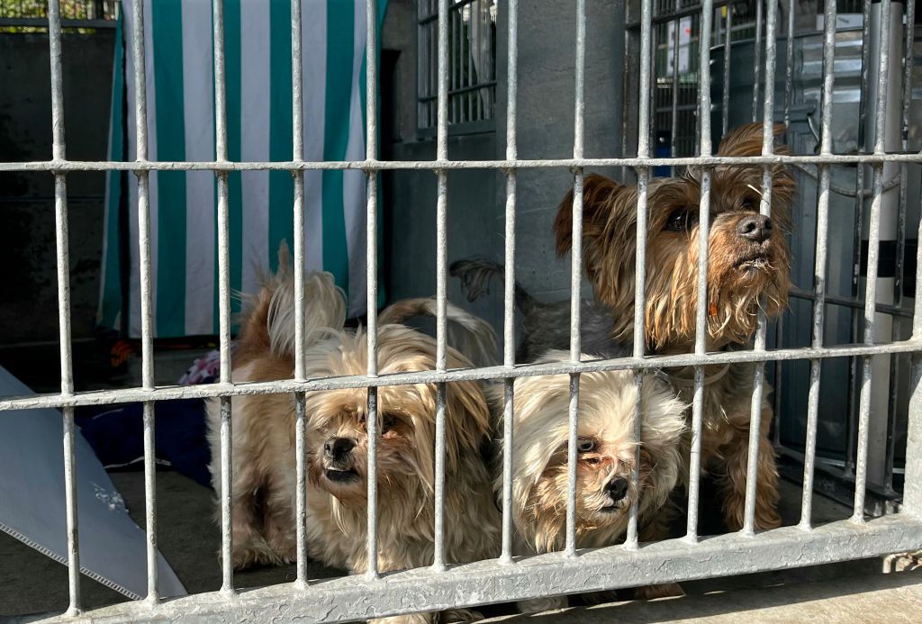 The heat stopped working at the Hamilton County Humane Center