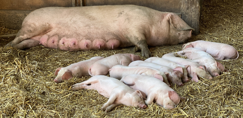 President Trump offers buyout to all federal workers with 8 months' pay | AP News