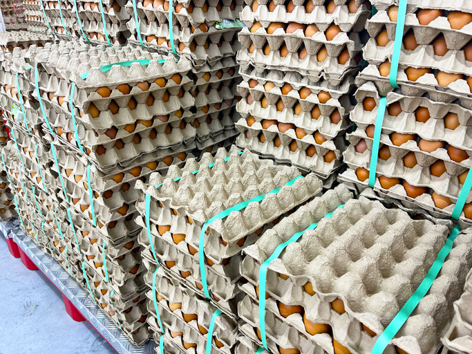 Chicken eggs in egg tray for sale in supermarket