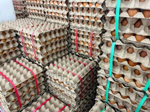 Chicken eggs in egg tray for sale in supermarket