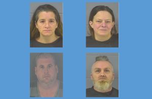 Child porn, bestiality mugshots