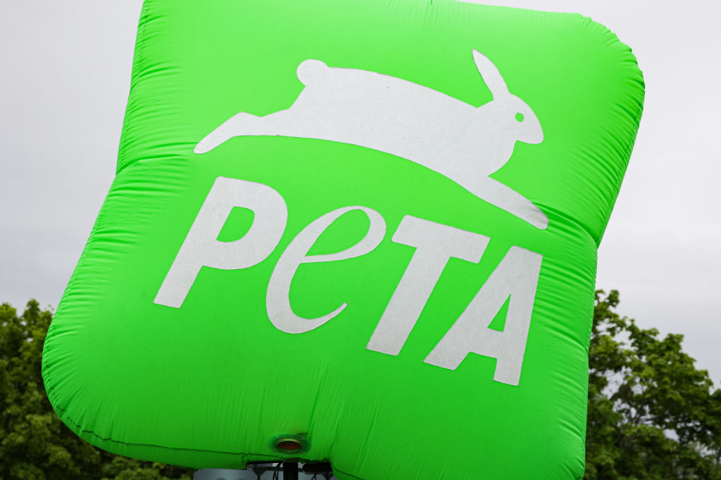 PETA wants us to eat broccoli instead of chicken wings for our Super Bowl parties