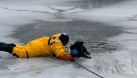 Dog Rescued from Pond