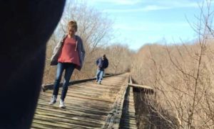 Bridge Guy Video