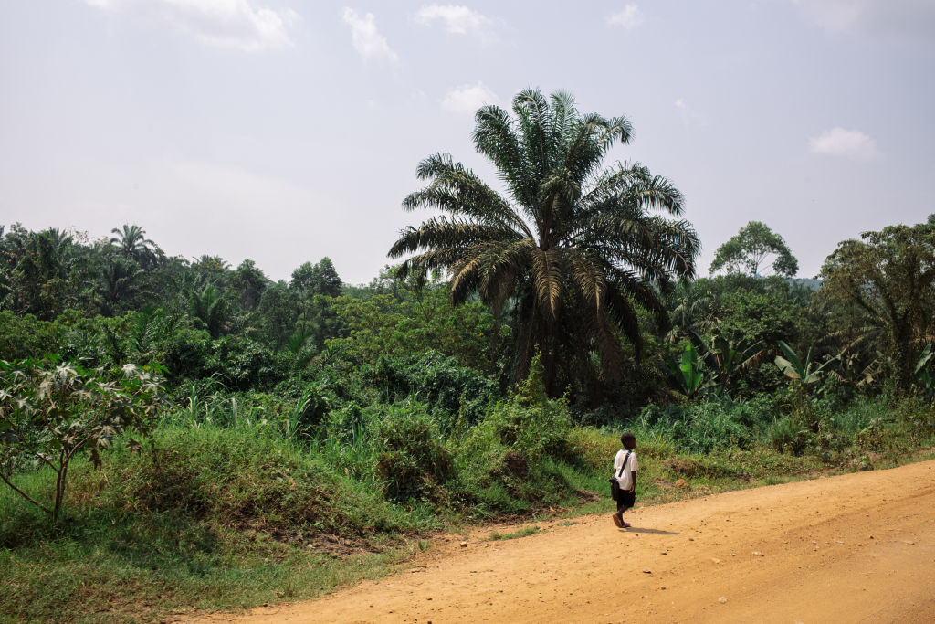 ....and now Congo is offering a deal: Hey! Kill the rebels and you can have our rare earth minerals