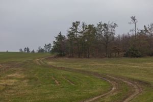 Spring landscape on a rainy day. Fields, roads, meadows