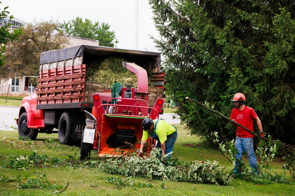 A tree removal crew from Dogwood Tree Service clears a...