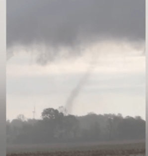 Spout