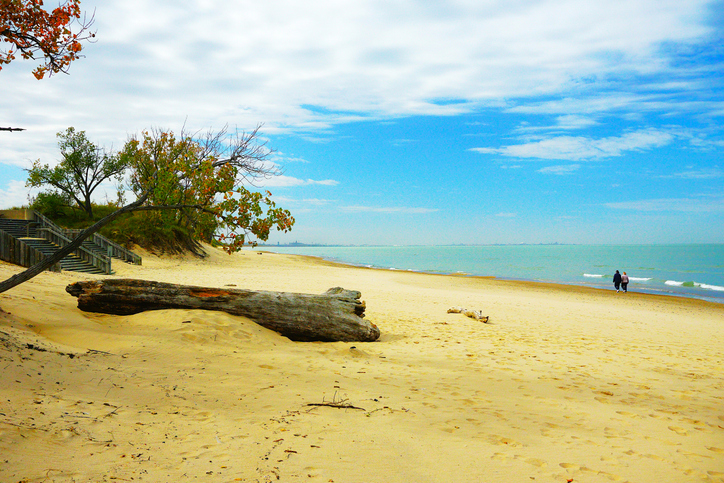 Beach Dunes, Beaches, Wetlands, History and Vistas at Indiana Dunes National Park.