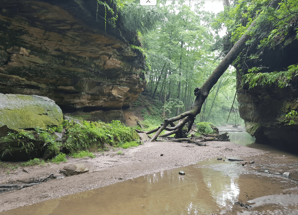 Turkey Run State Park — Marshall