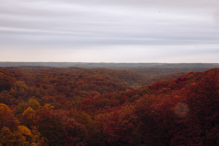 Overview of autumn trees in Brown County State Park in Nashville, Indiana