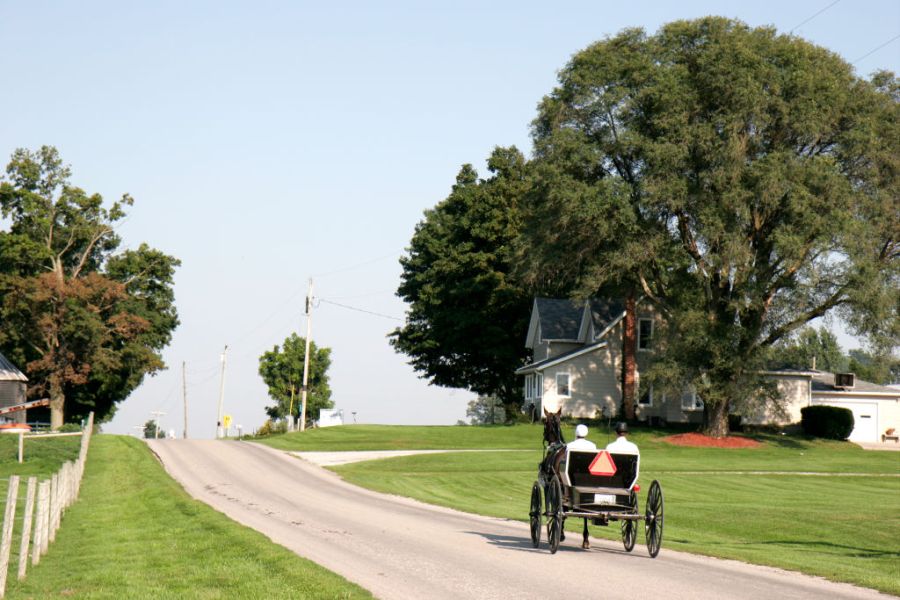A horse-drawn Amish buggy on a country road in Shipshewana.